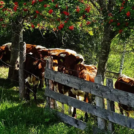 Apartment Heissgut Altenmarkt im Pongau