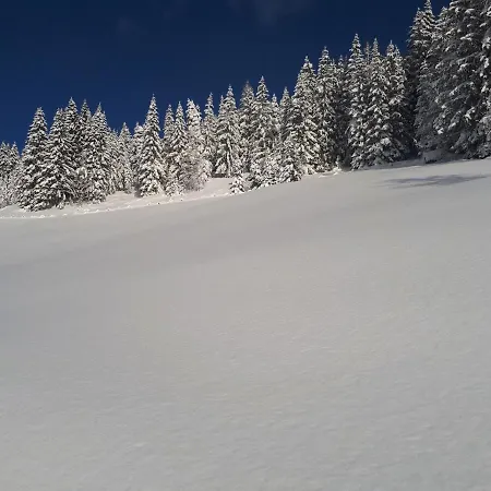 Heissgut Apartman Altenmarkt im Pongau