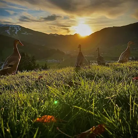 Heissgut Altenmarkt im Pongau