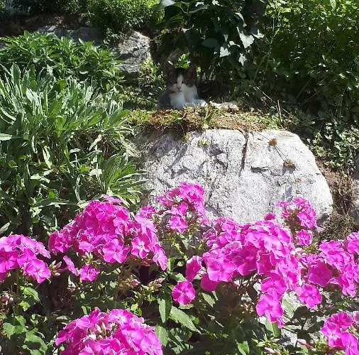 Heissgut * Altenmarkt im Pongau