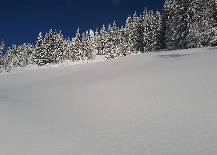Heissgut Apartman Altenmarkt im Pongau