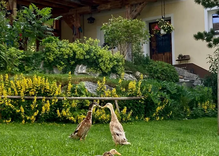 Heissgut Appartement