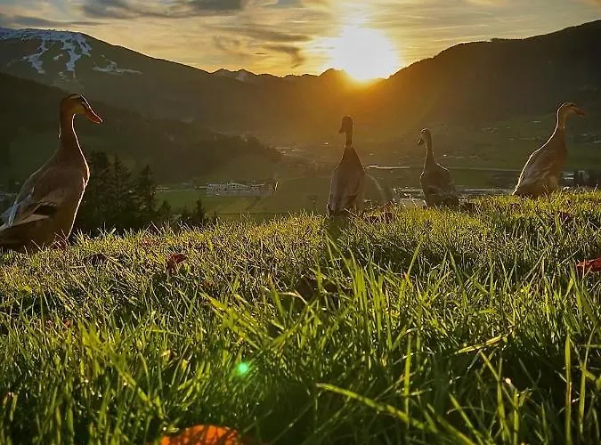 Heissgut Altenmarkt im Pongau