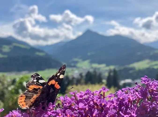 Heissgut Appartement